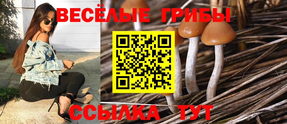 Псилоцибиновые грибы MAGIC MUSHROOMS  Вход с VPN  Донецк 