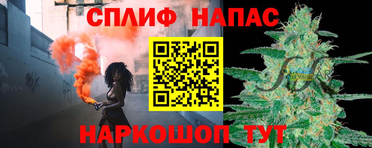 Бошки Шишки планчик Донецк